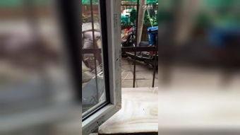 偷窥福利视频在线