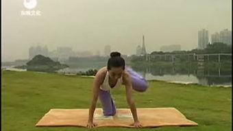 瑜珈福利视频在线