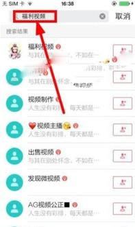 福利怕啪啪视频在线,揭秘网络诱惑背后的真相