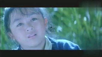 98在线电影福利老司机,老司机带你畅游影视世界